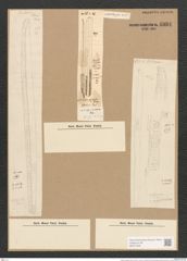 Nitzschia insignis Greg. (de-Toni-Nr.: Genus 47, Species 2074) Zeichnungen Sammlung Grunow Nr. 4094 (NHMW-BOT-W0371946)